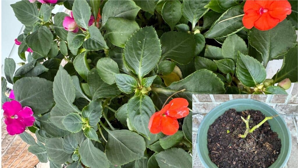 Winning the warfare in you mind from the inside out.