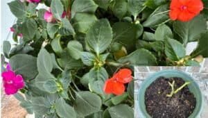 Winning the warfare in you mind from the inside out.