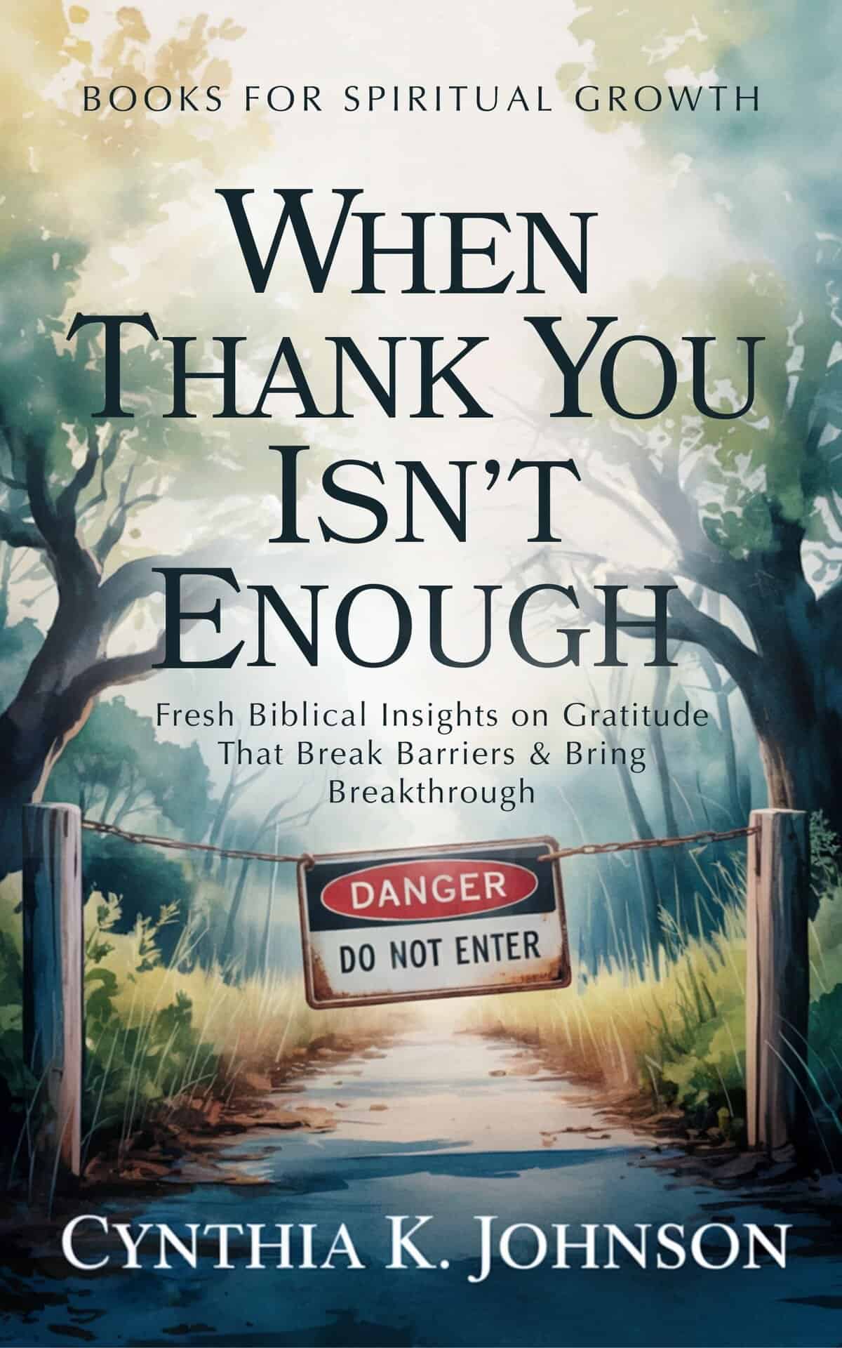 Cover of When Thank You Isn't Enough by Dr. Cynthia K. Johnson