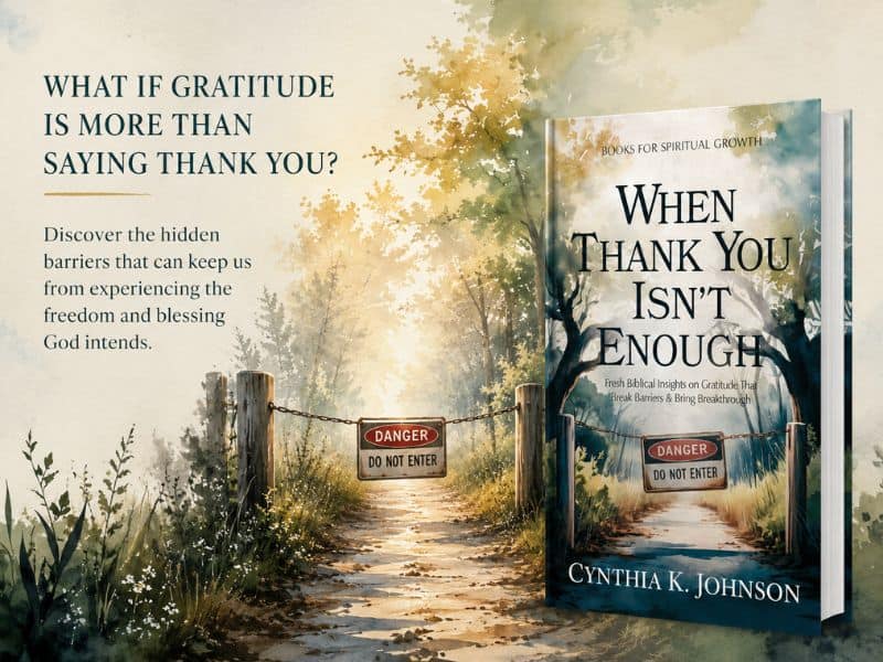 Book When Thank You Isn't Enough: Fresh Insights on Biblical Gratitude that Break Barriers and Bring Breakthrough